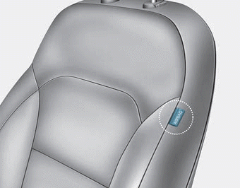Hyundai Elantra. Side air bags