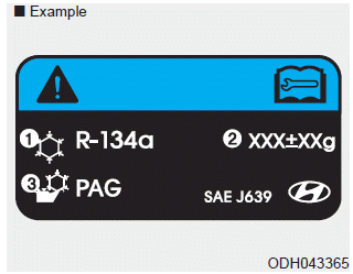 Hyundai Elantra. System Maintenance