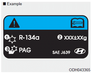 Hyundai Elantra. System Maintenance